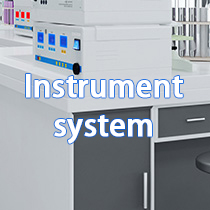 Instrument system