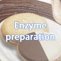 Enzyme preparation
