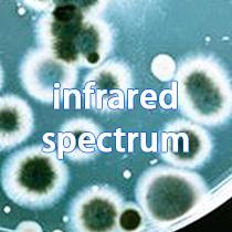 infrared spectrum