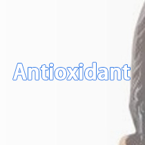 Antioxidant